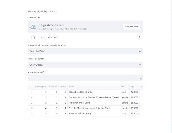 Image of Data Processing Web App